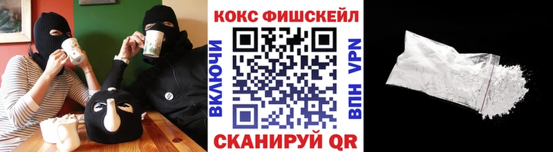 Cocaine FishScale  Купить закладки  Мамоново 