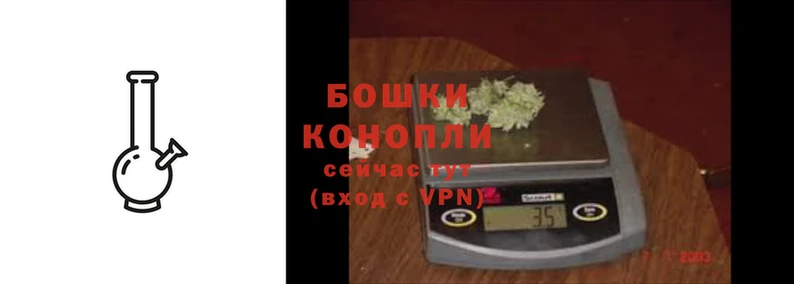 стафф Белокуриха