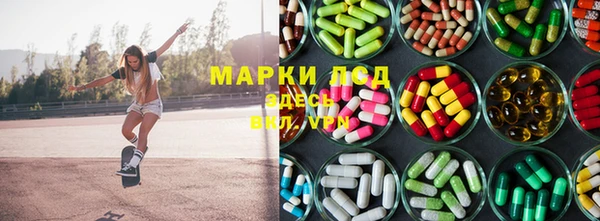 ГАЛЛЮЦИНОГЕННЫЕ ГРИБЫ Беломорск