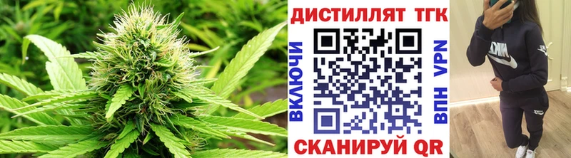 Купить где  Мамоново  ТГК THC oil 
