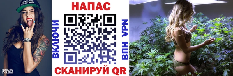 Каннабис сатива  Купить где  Мамоново 